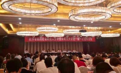 正衡集團(tuán)董事長雷華鋒當(dāng)選陜西省新的社會階層人士聯(lián)誼會會長