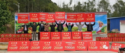 桔 起脫貧希望 長洲區(qū)開展統(tǒng)一戰(zhàn)線助力脫貧攻堅(jiān)農(nóng)產(chǎn)品 消費(fèi)扶貧 活動(dòng)