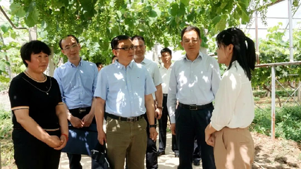 中央統戰部來涇陽調研基層統戰工作