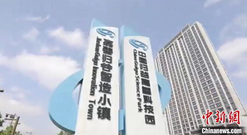 春風化雨孜孜十載 記浙江統一戰線助推嘉善高質量發展